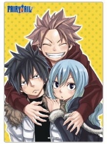 FAIRYTAIL　原作イラストアクリルパネル3