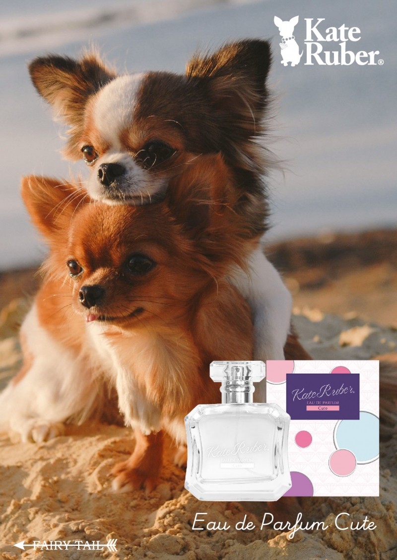 Dreaming Princess（ドリーミングプリンセス）