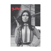 フジ・アキコ アクリルパネル